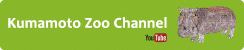 Kumamoto Zoo Channel
