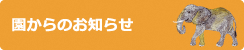 園からのお知らせ