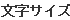文字サイズ