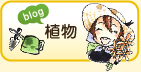 植物