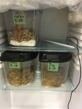 冬支度② 冬支度②