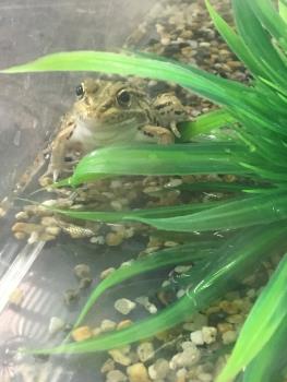 冬支度③ 冬支度③