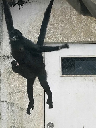 1 1