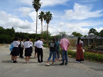 モンキーアイランド モンキーアイランド