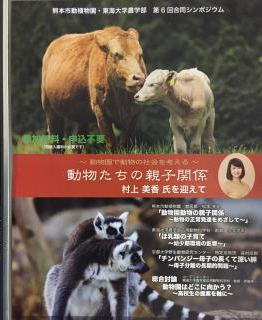 チラシ チラシ