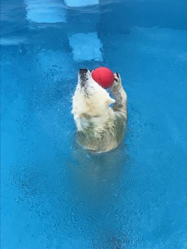62 62
