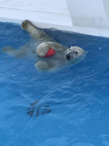 76 76