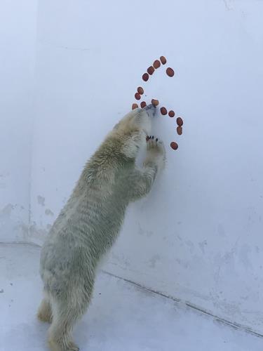 84 84