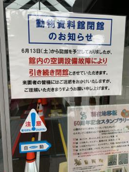 1 1