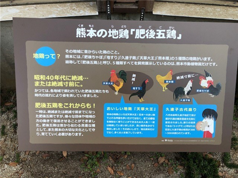 新3 新3