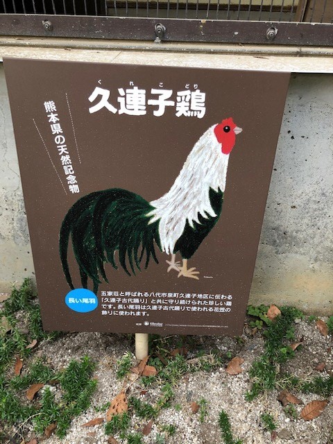 くれこ くれこ