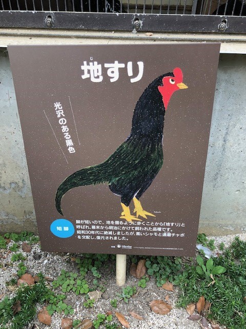 地すり 地すり