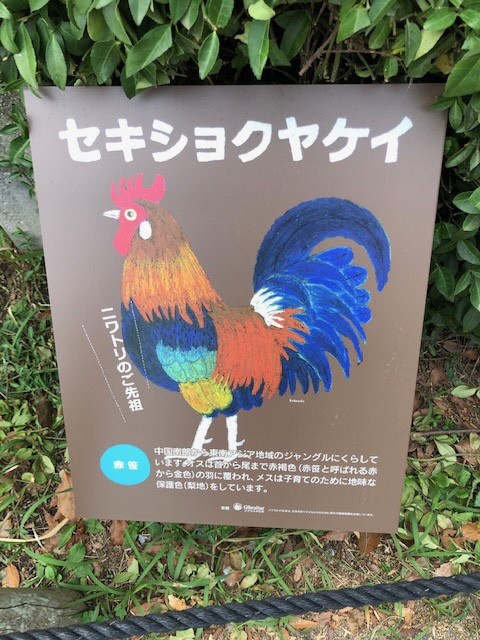 やけい やけい
