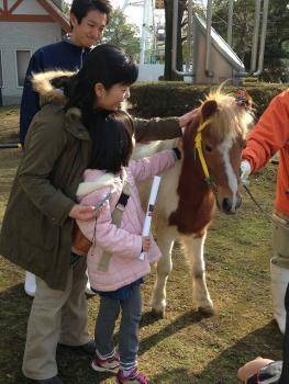 えと展 えと展
