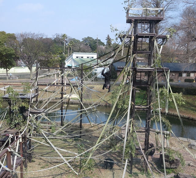 カナエ わたり カナエ わたり