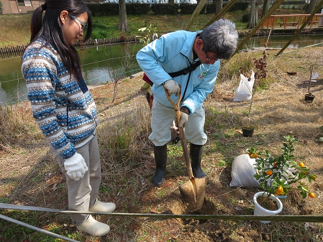しょくじゅ しょくじゅ