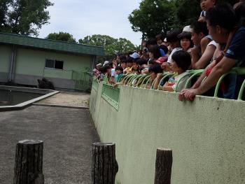 来園者 来園者