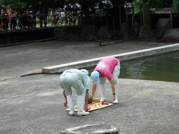 くずさないように! くずさないように!