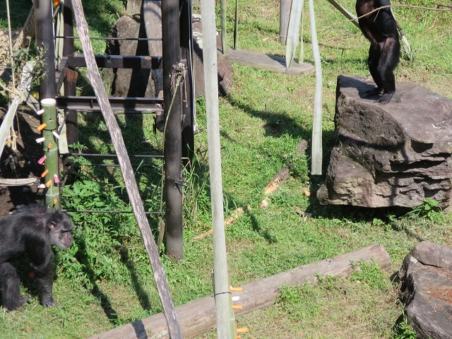 720 720