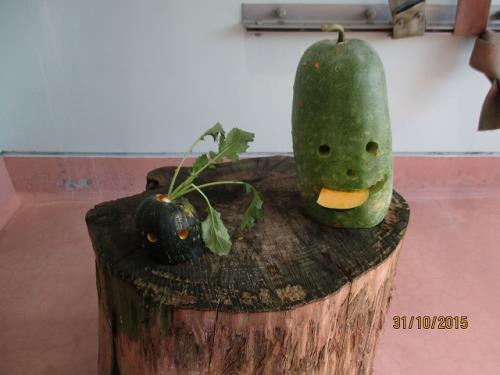 23 23