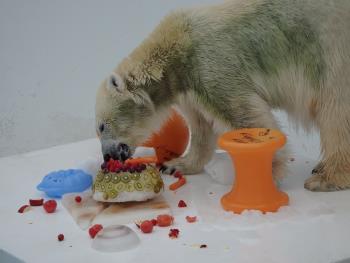 13 13