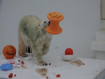 13 13