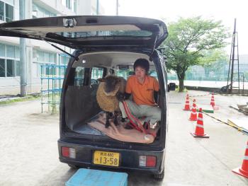 ヒツジ移動 ヒツジ移動