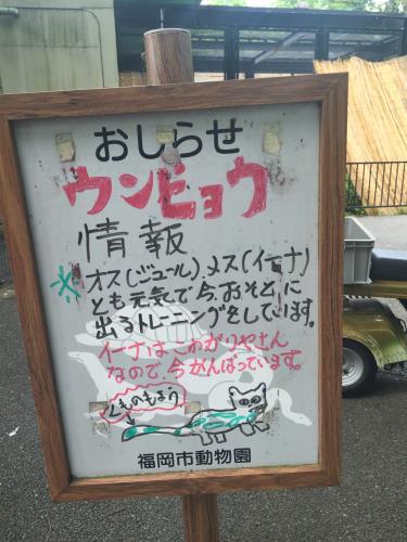掲示 掲示