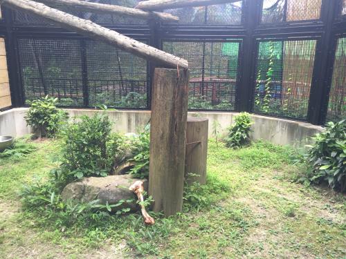 パドック パドック