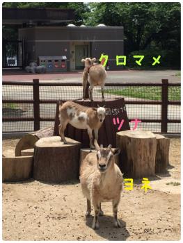 仲良し3人組 仲良し3人組