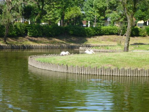 24 24