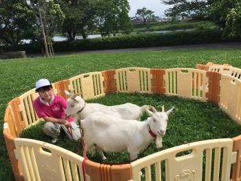 サークル練習 サークル練習