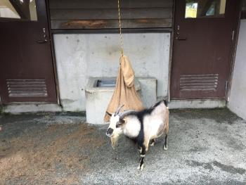 サンドバック サンドバック