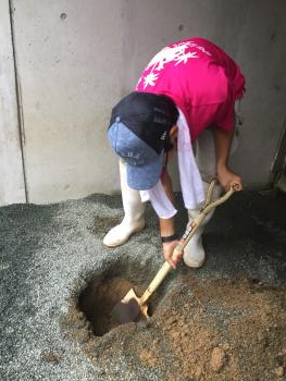 穴掘り 穴掘り