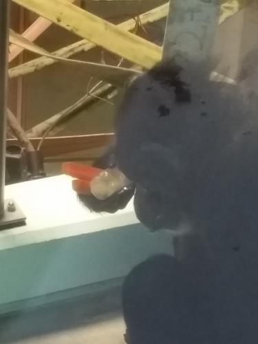725 725