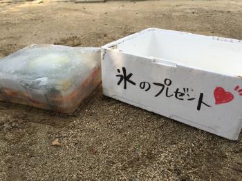氷 氷