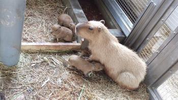 生まれた直後 生まれた直後