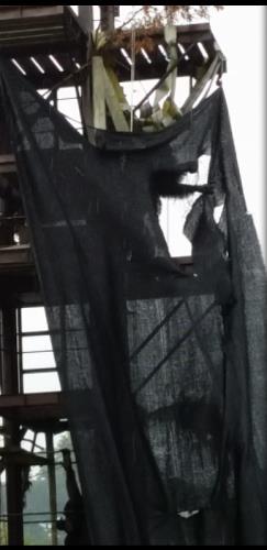 6 6