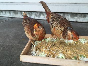 12月21日 12月21日