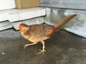 12月18日 12月18日