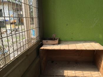 かわいい かわいい