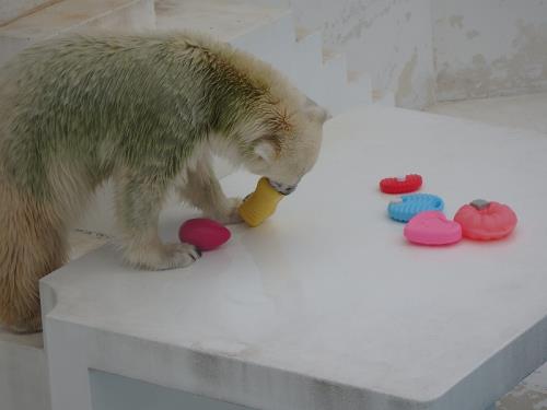 7 7