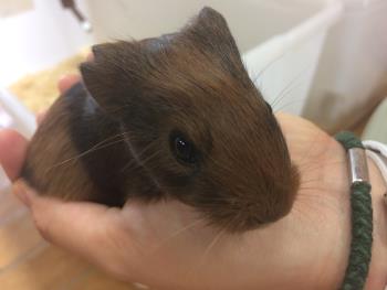 なごみ4 なごみ4