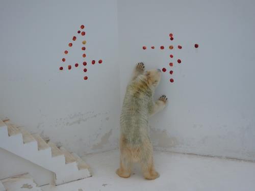 5 5