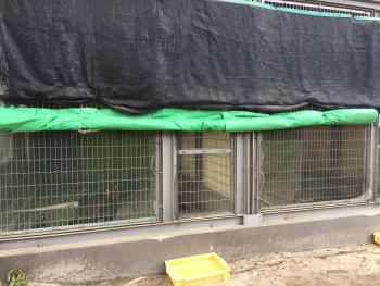 そとケージ そとケージ