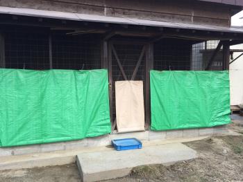 はなれ2 はなれ2