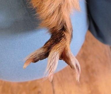 1 1