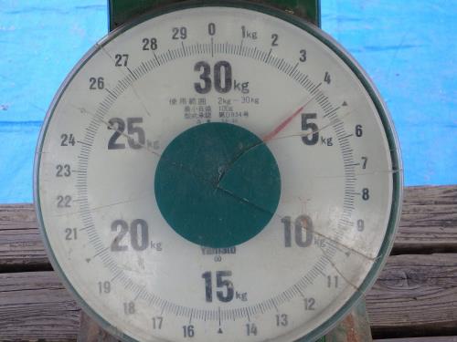 9 9
