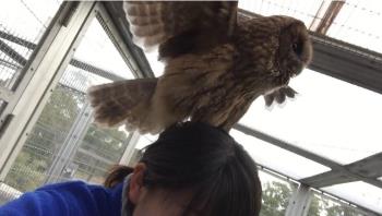 ふく ふく