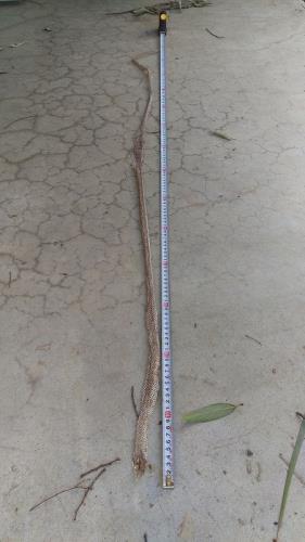 1 1